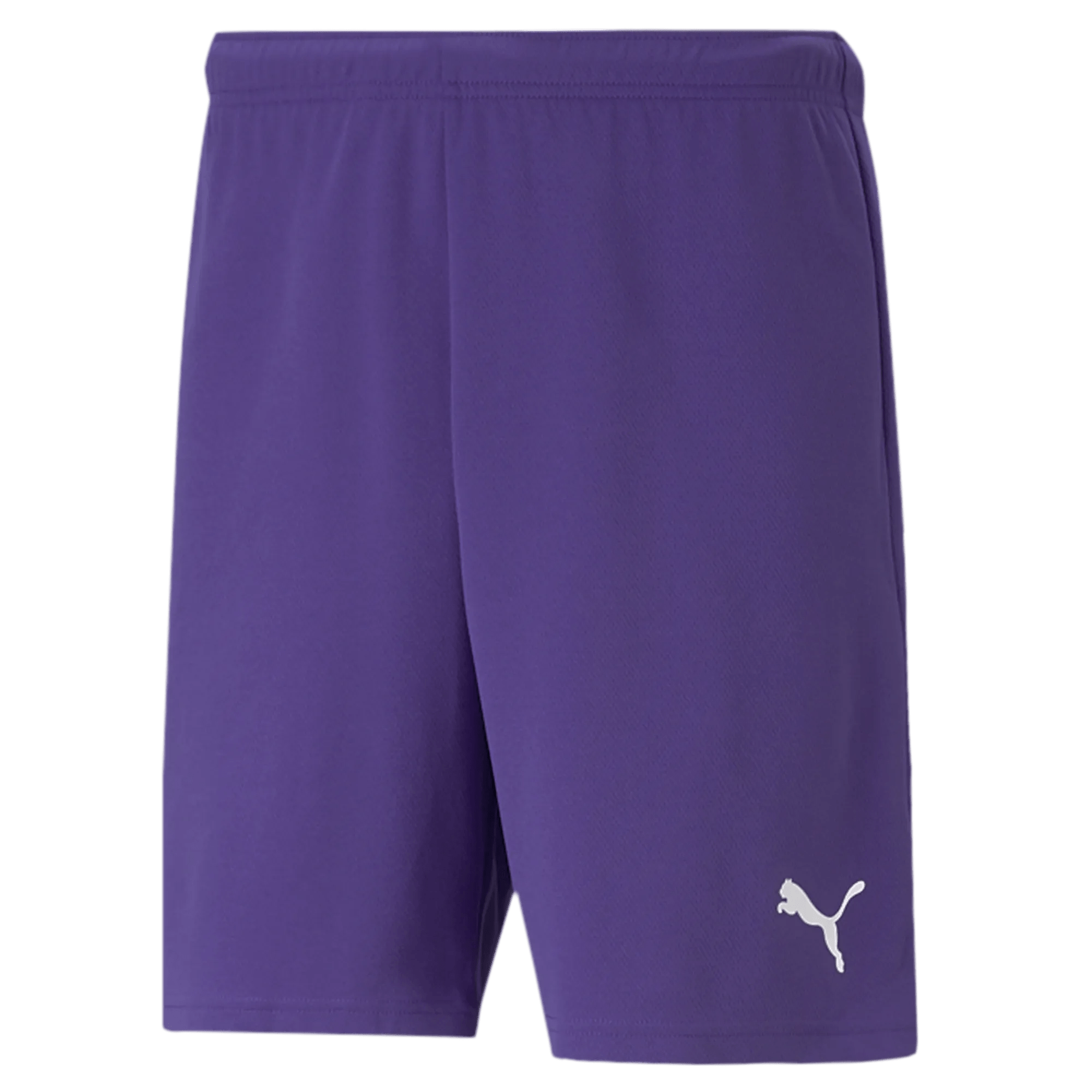 Puma Teamrise Short Purple (Front)