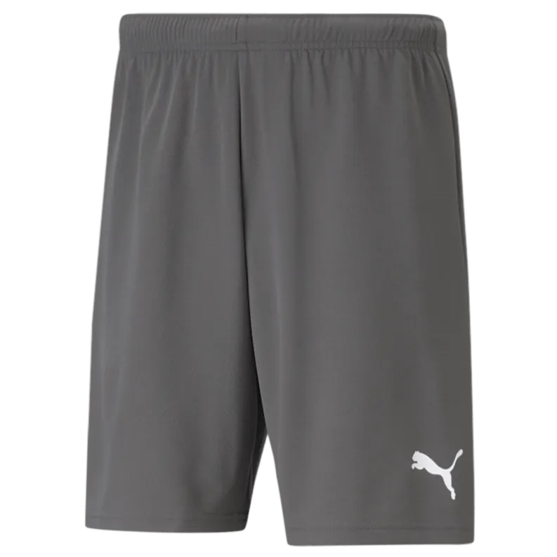 Puma Teamrise Short Gray (Front)