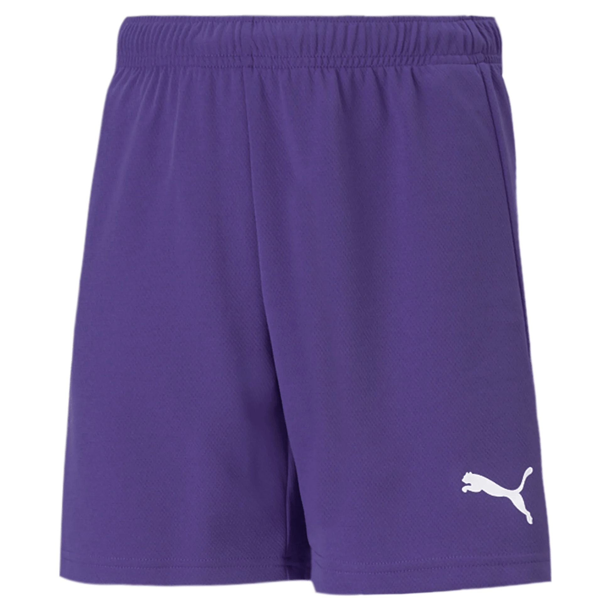 Puma Teamrise Youth Short Purple (Front)