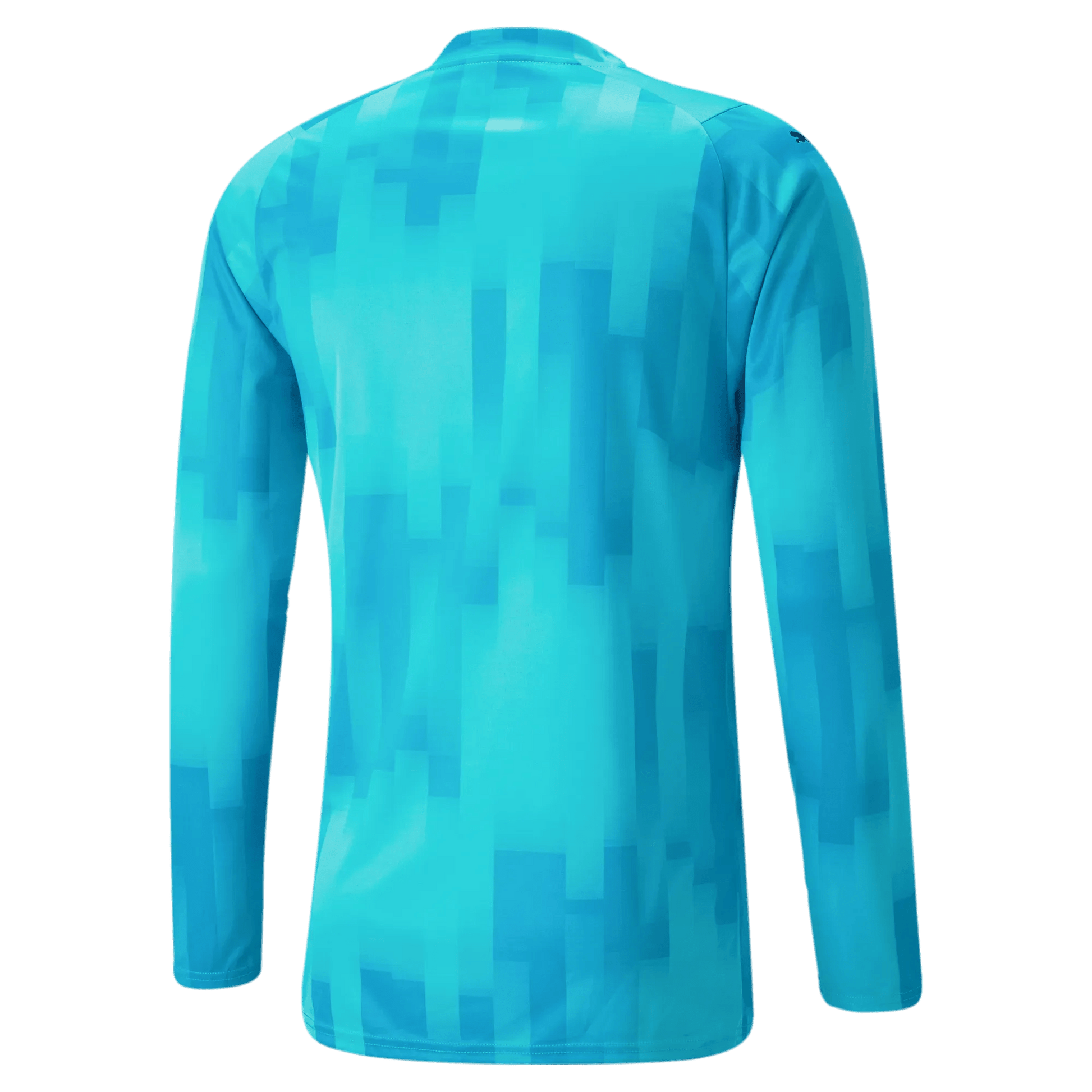 Puma Teamtarget Goalkeeper Longsleeve Mens Jersey Bright Aqua (Back)
