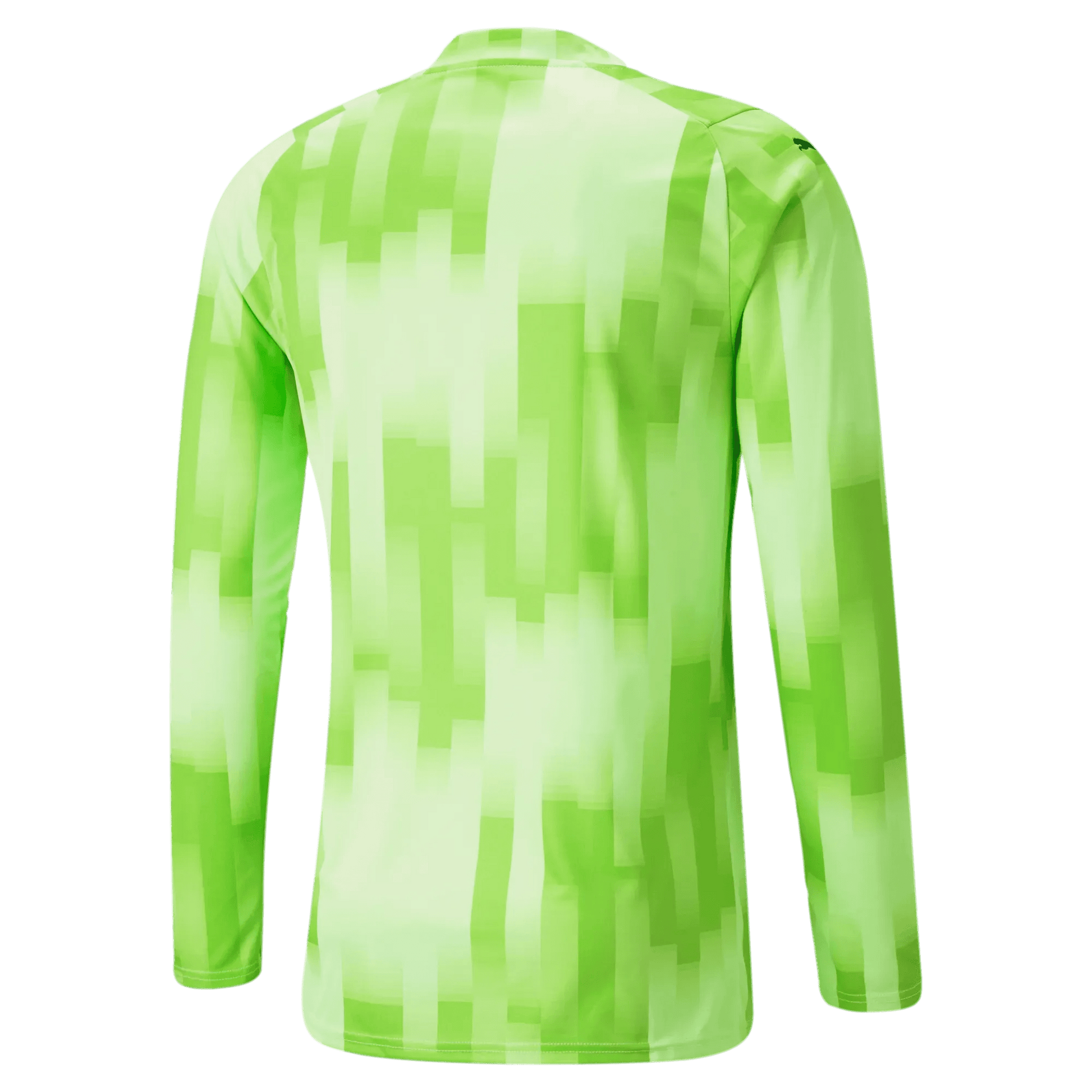 Puma Teamtarget Goalkeeper Longsleeve Mens Jersey Fizzy Lime (Back)