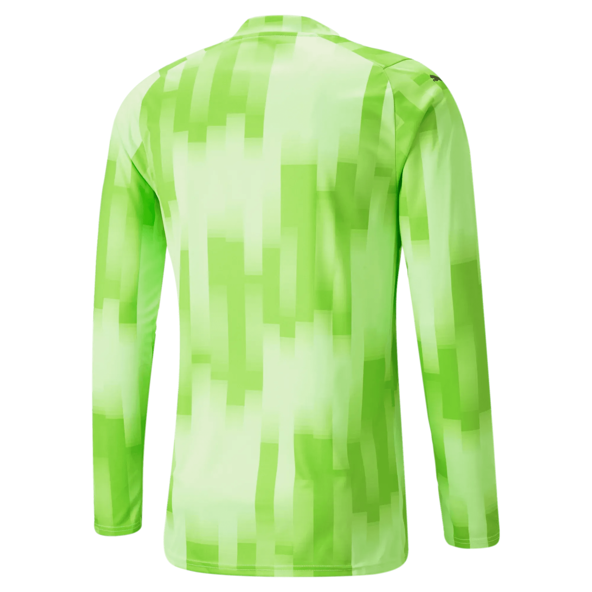 Puma Teamtarget Goalkeeper Longsleeve Mens Jersey Fizzy Lime (Back)
