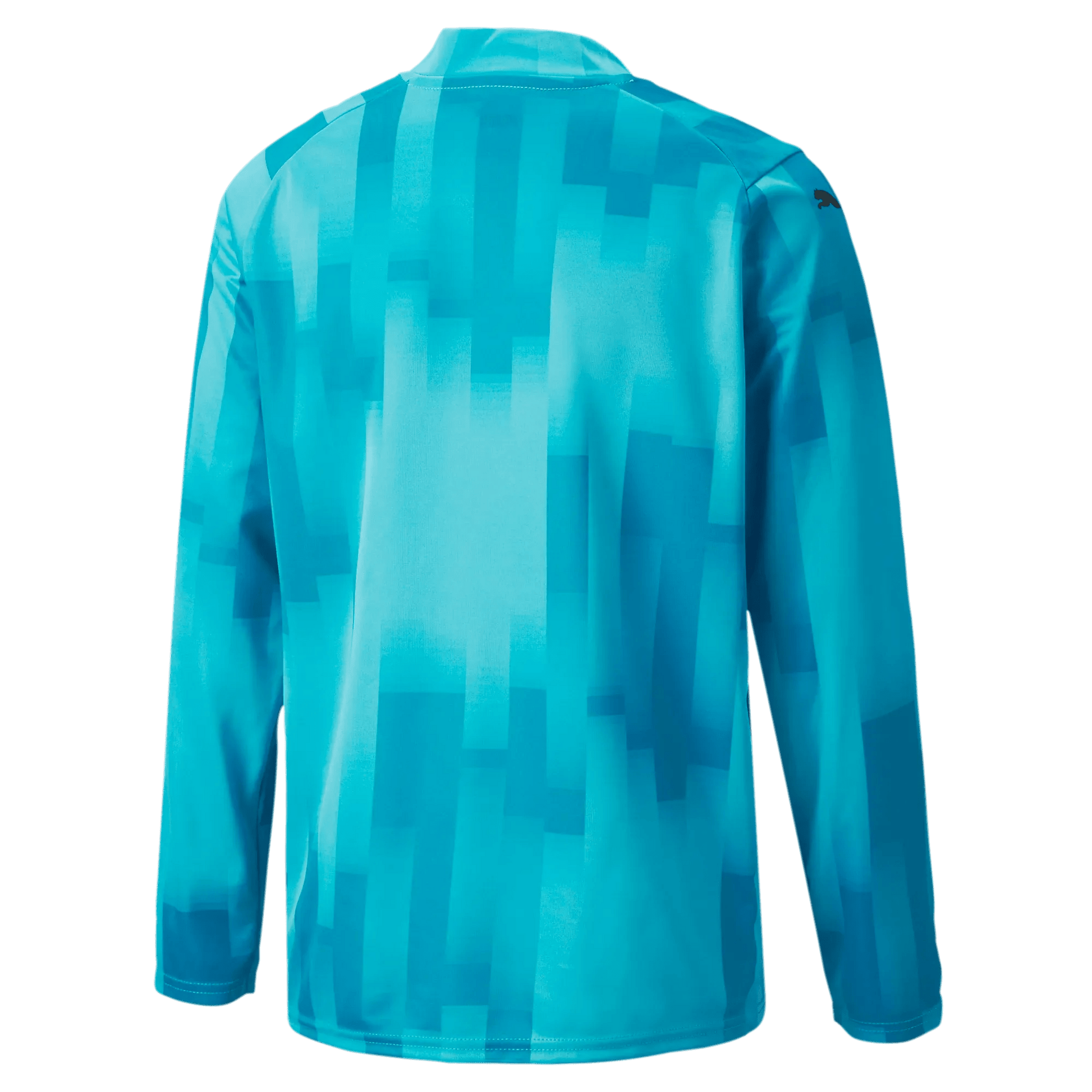 Puma Teamtarget Goalkeeper  Longsleeve Youth Jersey Bright Aqua (Back)
