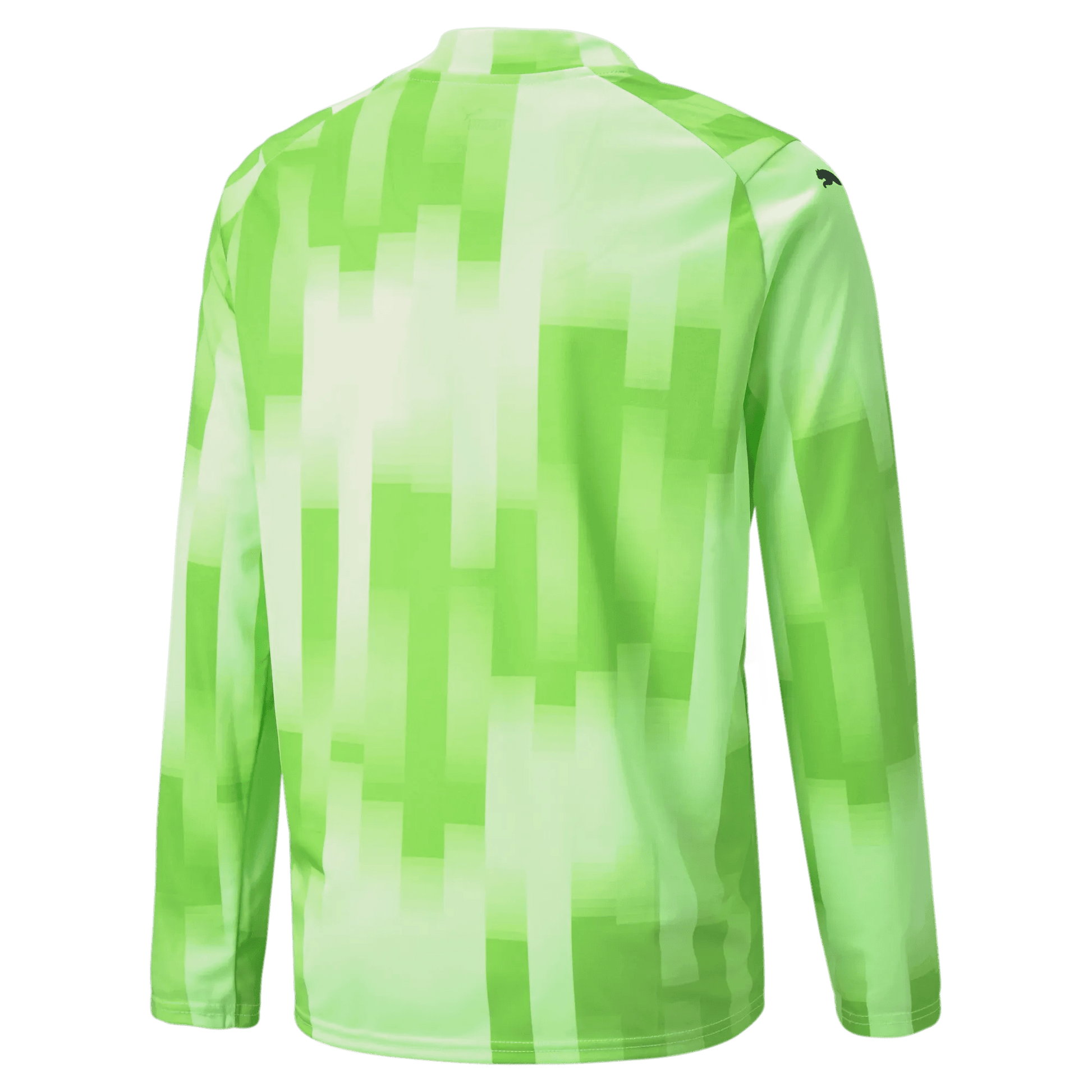 Puma Teamtarget Goalkeeper  Longsleeve Youth Jersey Fizzy Lime (Back)