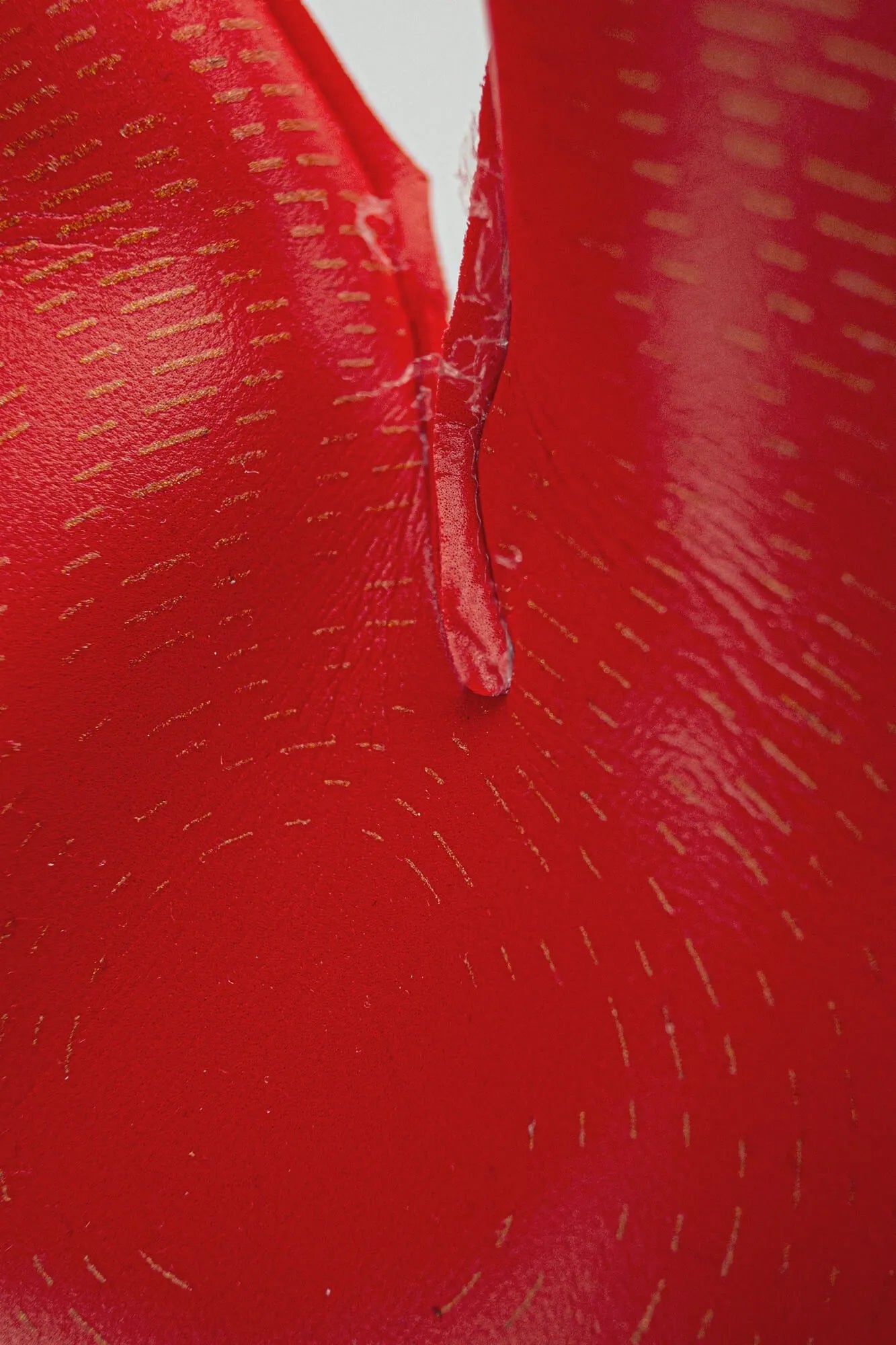 Reusch Attrakt Gold X Glueprint Ortho-Tec FS Goalkeeper Gloves - White-Gold-Red (Detail 3)