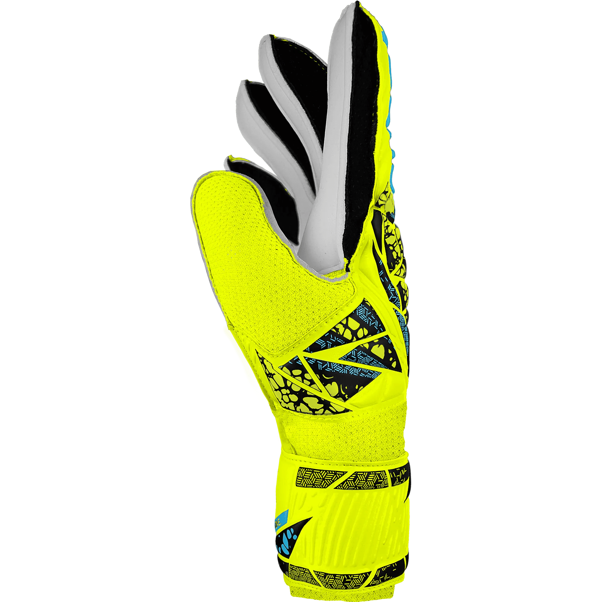 Reusch Attrakt GK Glove