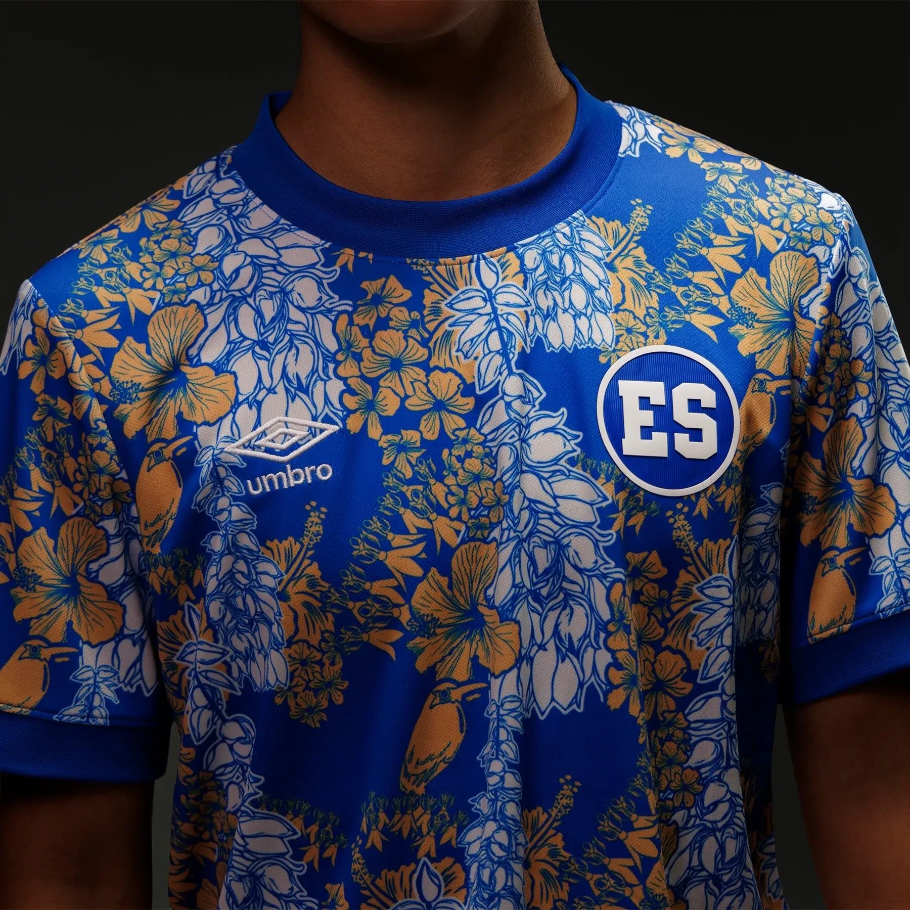 Umbro 2025-26 El Salvador Men's Third Pre-Match Soccer Jersey (Model - Detail 1)