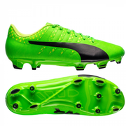 Puma evoPower Vigor 4 FG Green