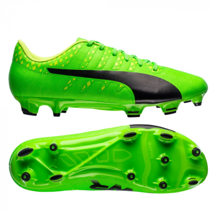 Puma evoPower Vigor 4 FG Green