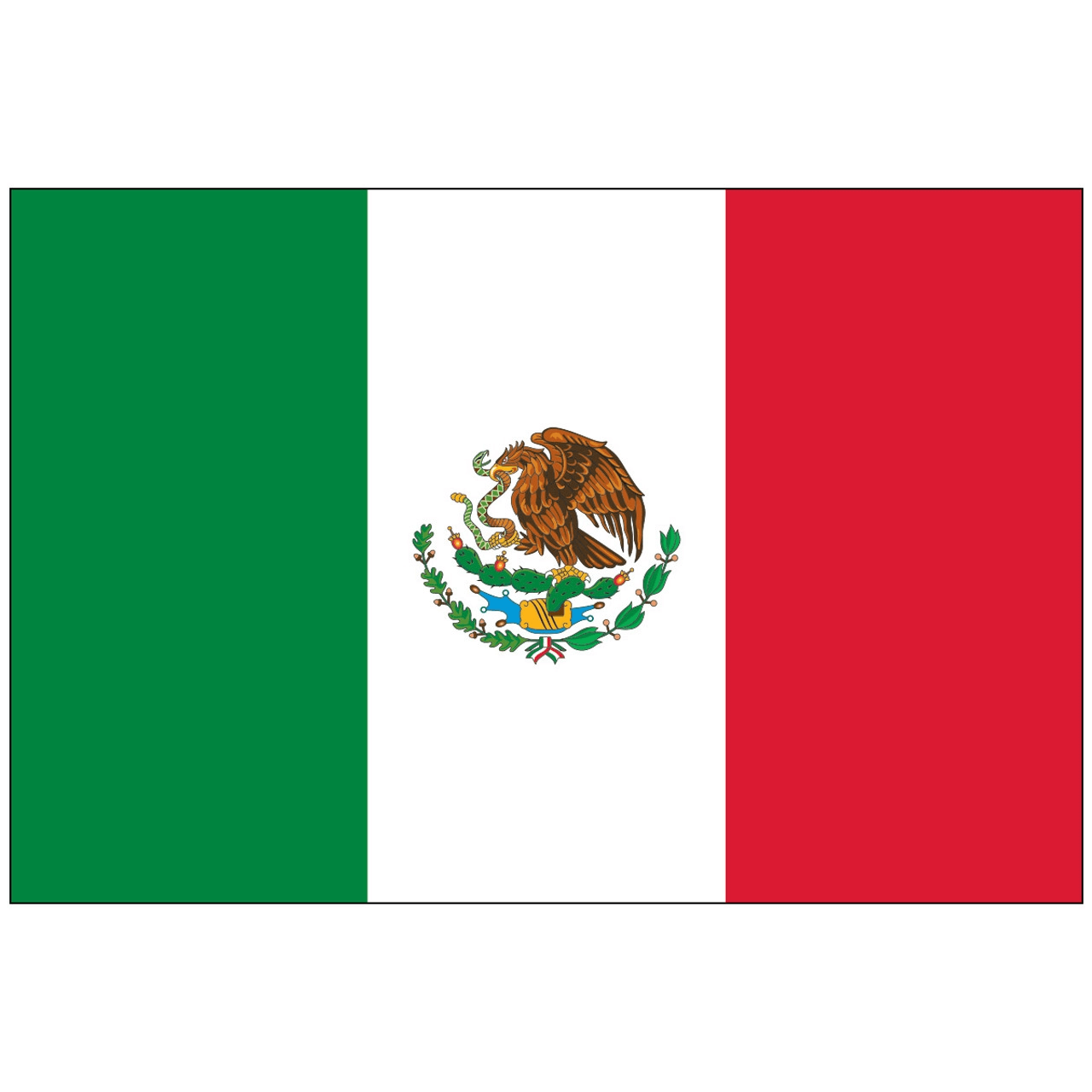 Mexico Flag (Front)