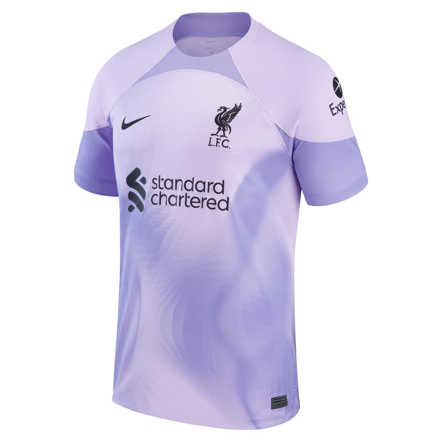 Nike 2022-23 Liverpool Stadium Goalkeeper Jersey - Purple-Black