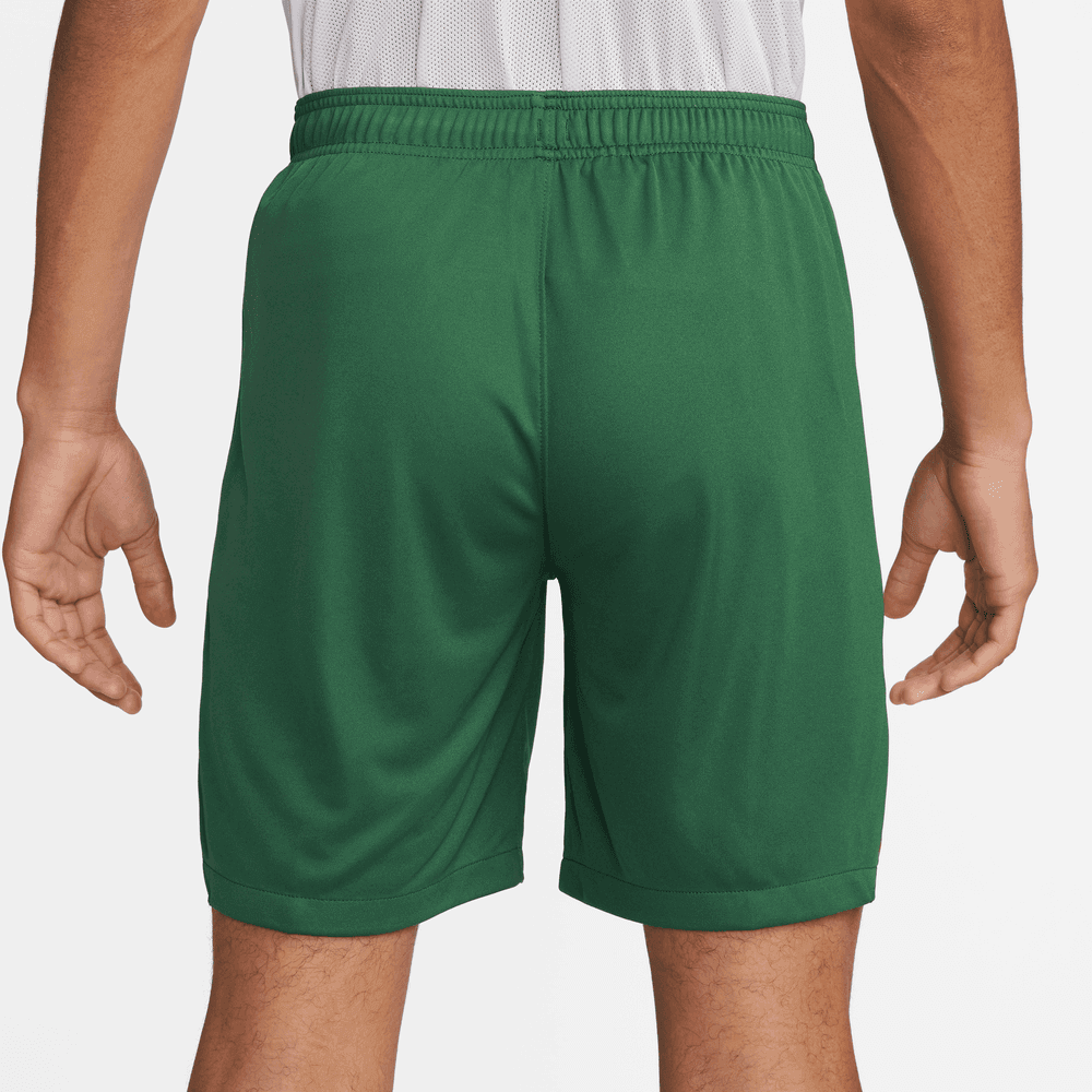 Nike 2022-23 Portugal Home Shorts (Back)