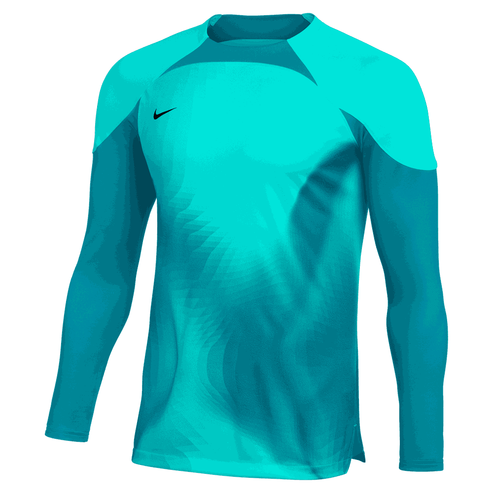 Nike Gardien IV LS Goalkeeper Jersey Turquoise-Black (Front)