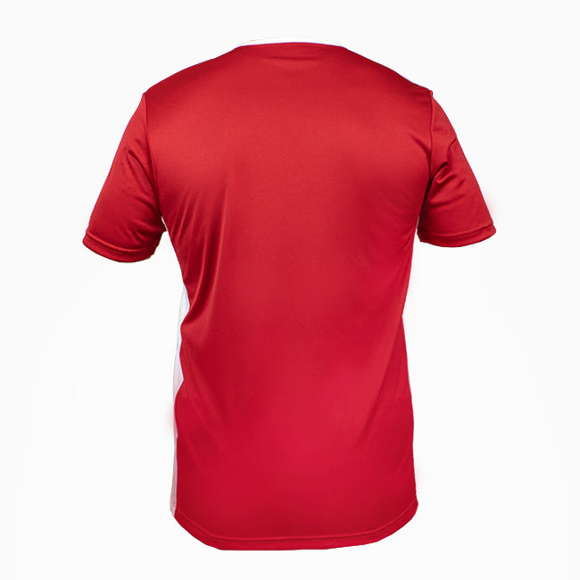 back view of adidas Entrada 18 Youth Training Jersey-red\
