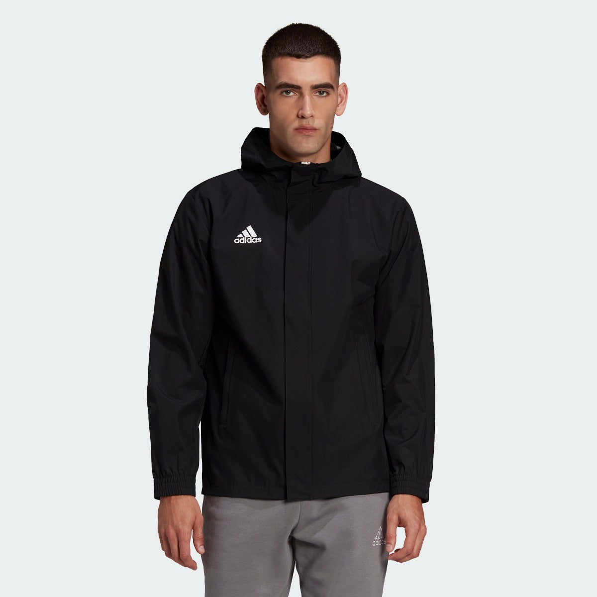 完璧 激レア adidas all blacks allweather jacket ラグビー - uimptv.es