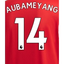 Arsenal 2019/22 Home #14 Youth Aubameyang Jersey Name Set
