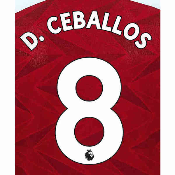 Arsenal 2019/22 Home D. Ceballos #8 Jersey Name Set