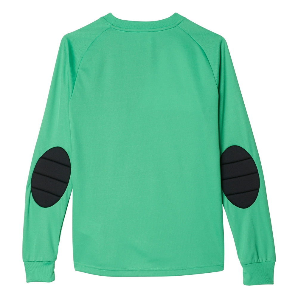 adidas Assita 17 YOUTH Goalkeeper Jersey - Dark Green