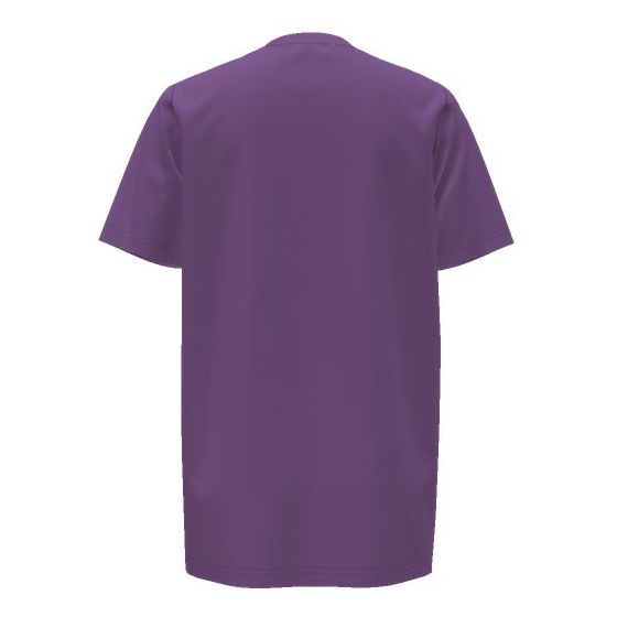 Nike 2021-22 Tottenham Youth Evergreen Crest Tee - Purple (Back)