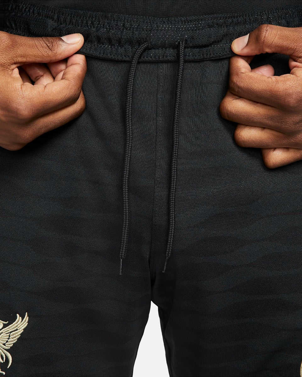 Nike 2022 Liverpool DF Strike Shorts KZ - Black-Mystic Stone (Detail 4)