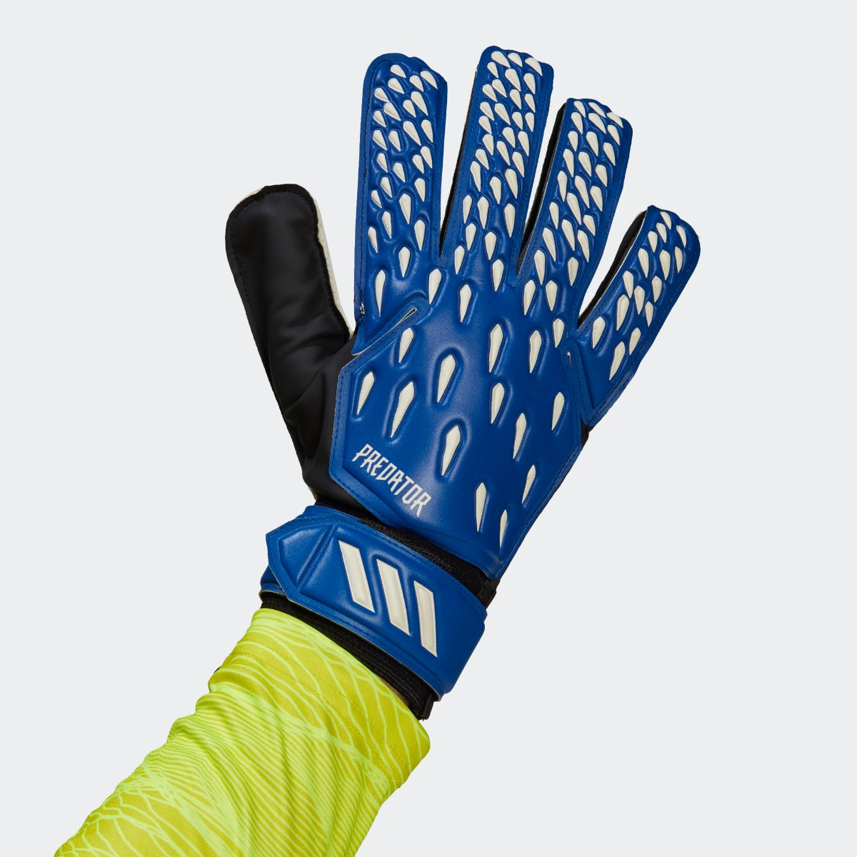 Adidas Predator Training Goalkeeper Gloves - Royal-White